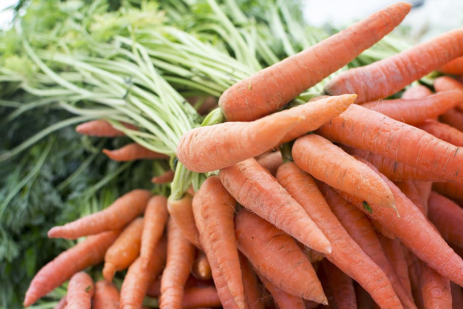 shallow focus of carrots, produce, grocery, farm, table, market, HD wallpaper