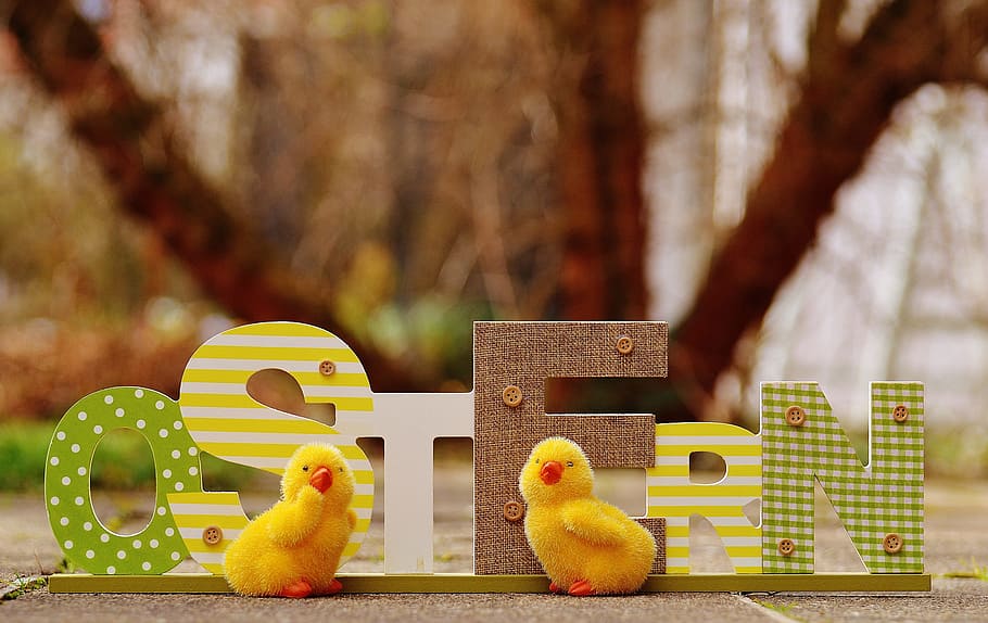 Easter, Egg, Colorful, Chicks, happy easter, colorful eggs HD wallpaper