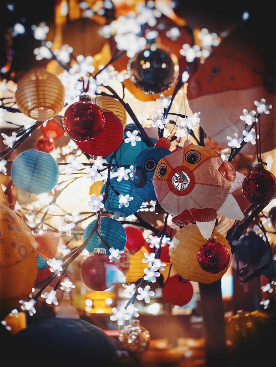 assorted-color paper lanterns hanging on tree, assorted-color paper lanterns during nighttime HD wallpaper