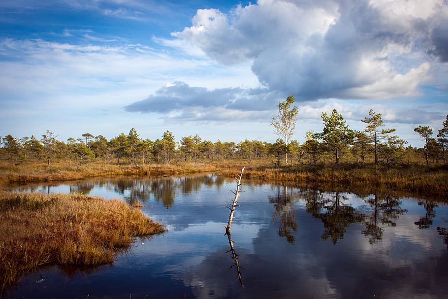 pond, fall, clouds, water, nature, landscape, scenic, reflection HD wallpaper