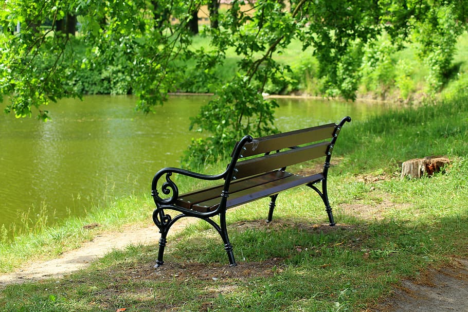 brown wooden bench under green tree near water during daytime HD wallpaper