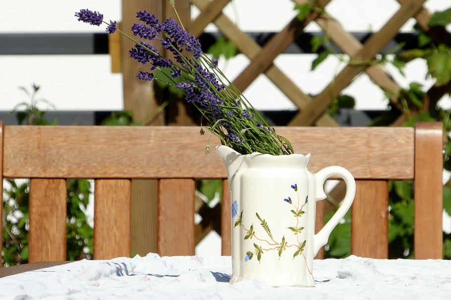 purple lavender flowers in white ceramic vase, bouquet, summer day
