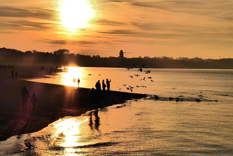 warnemünde, abendstimmung, beach, sunset, water, sky, reflection HD wallpaper