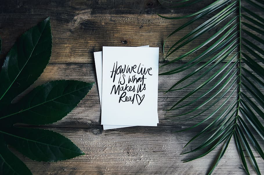 how we live is what makes us real text, flat lay, fern, leaf HD wallpaper
