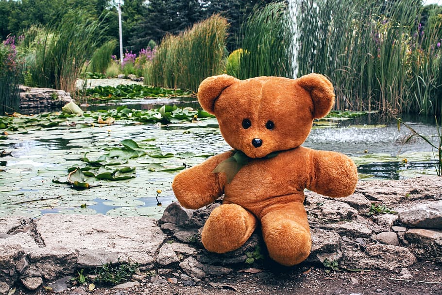 brown bear on river, teddy, toy, soft, childhood, sitting, pond HD wallpaper