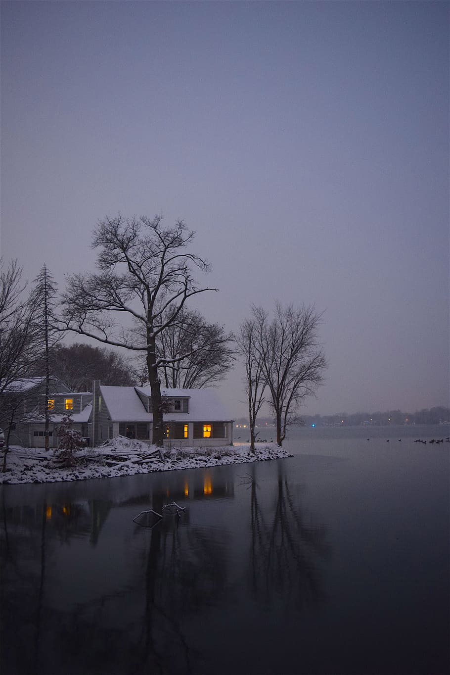lake, snow, tree, winter, light, reflection, house, evening HD wallpaper