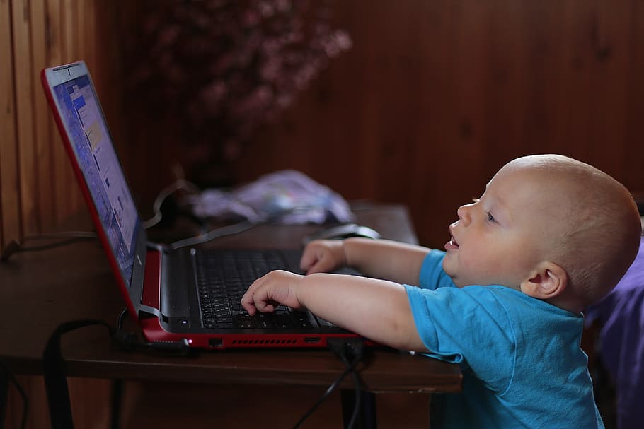 toddler wearing blue shirt using laptop computer, kid, notebook HD wallpaper