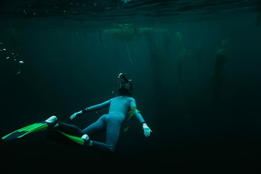person in underwater wearing pair of flippers at daytime, girl wearing grey wetsuit and green flippers underwater photography
