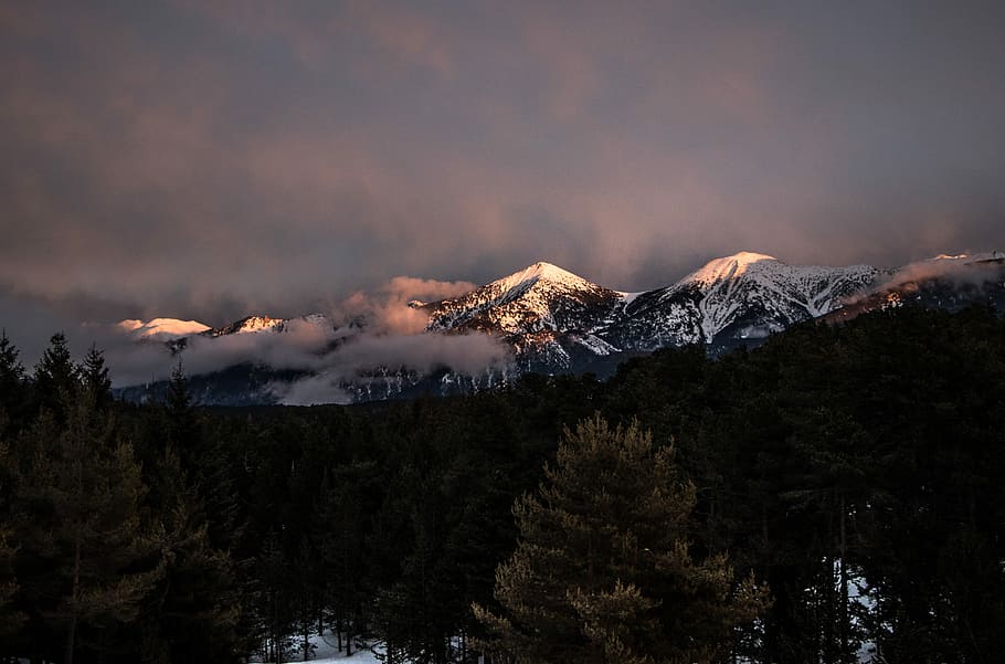 pine trees on mountain, landscape photograph of mountain, mountain range HD wallpaper