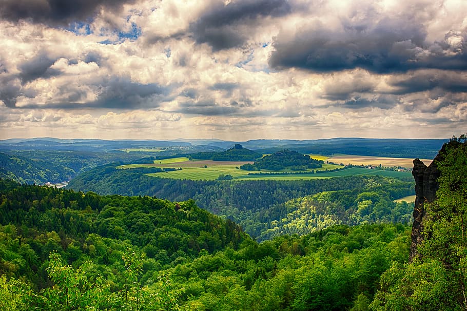 forest landscape during daytime, Nature, View, Clouds, sky HD wallpaper