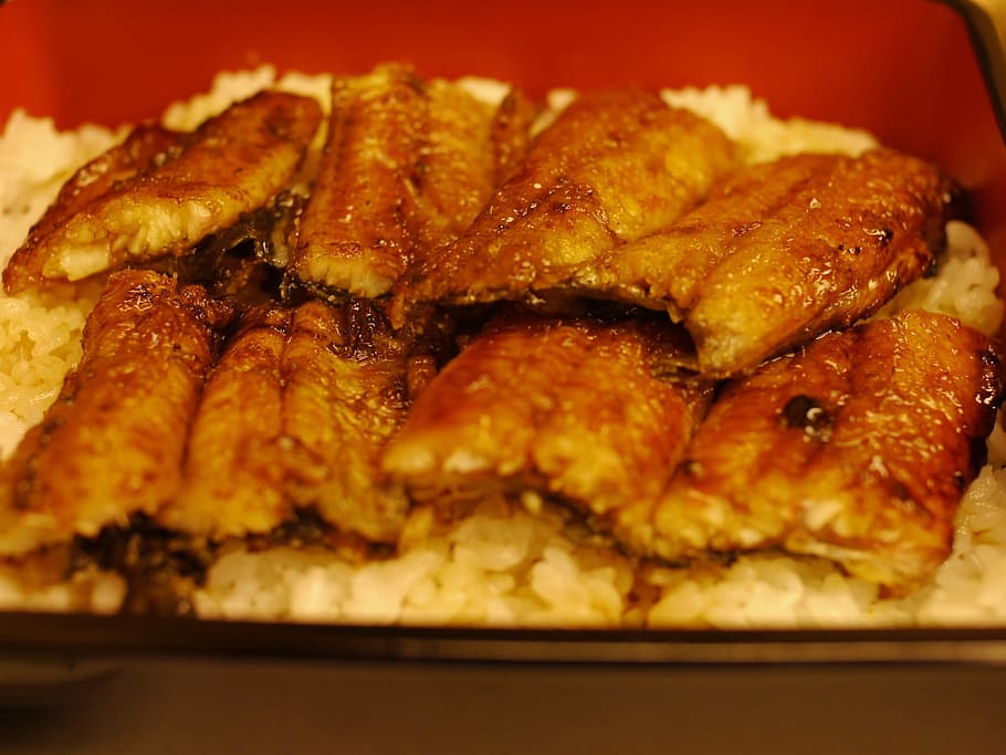 rice with meat dish on top, Eel, Broiled, Food, broiled eel HD wallpaper