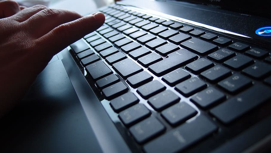 person using black laptop computer, keyboard, keys, leave, input HD wallpaper