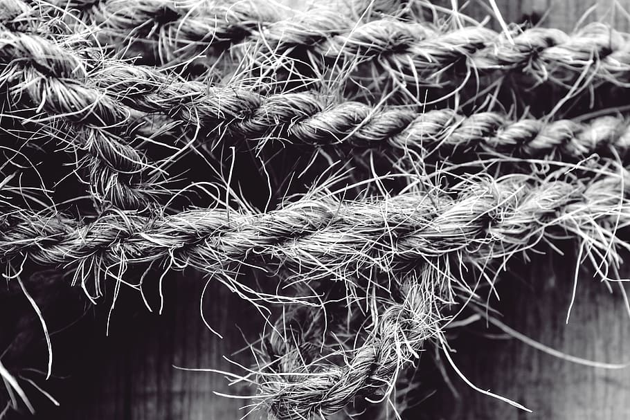 grayscale photography of gray rope, dew, twisted ropes, cordage