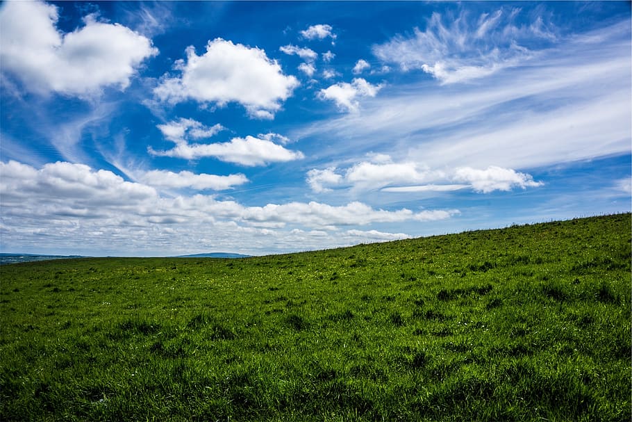 green, grass, field, sky, blue, clouds, cloud - sky, beauty in nature HD wallpaper