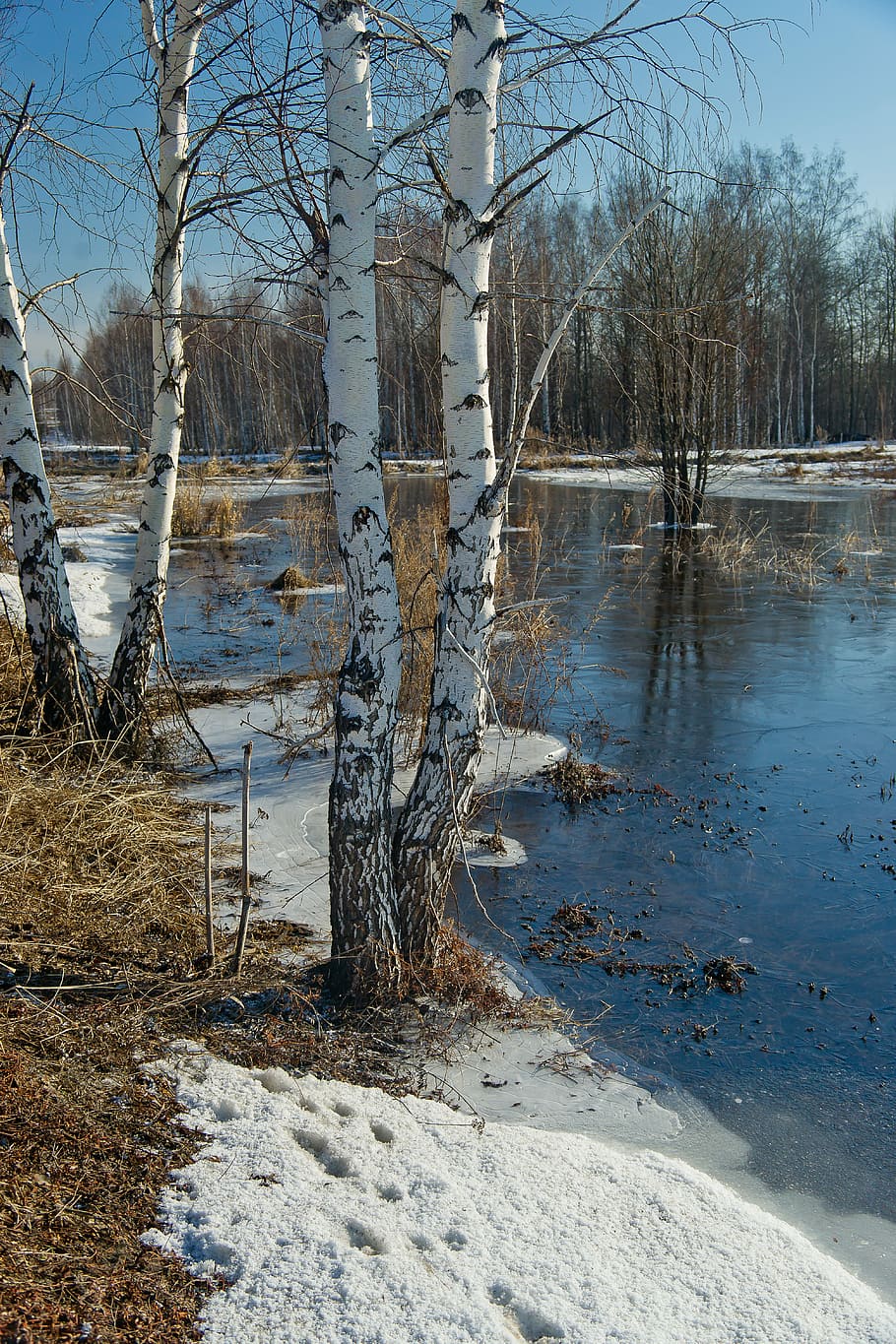 nature, snow, sky, spring, siberia, winter, ice, landscape HD wallpaper