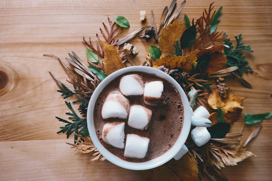 white ceramic mug filled if chocolate and marshmallow, autumn