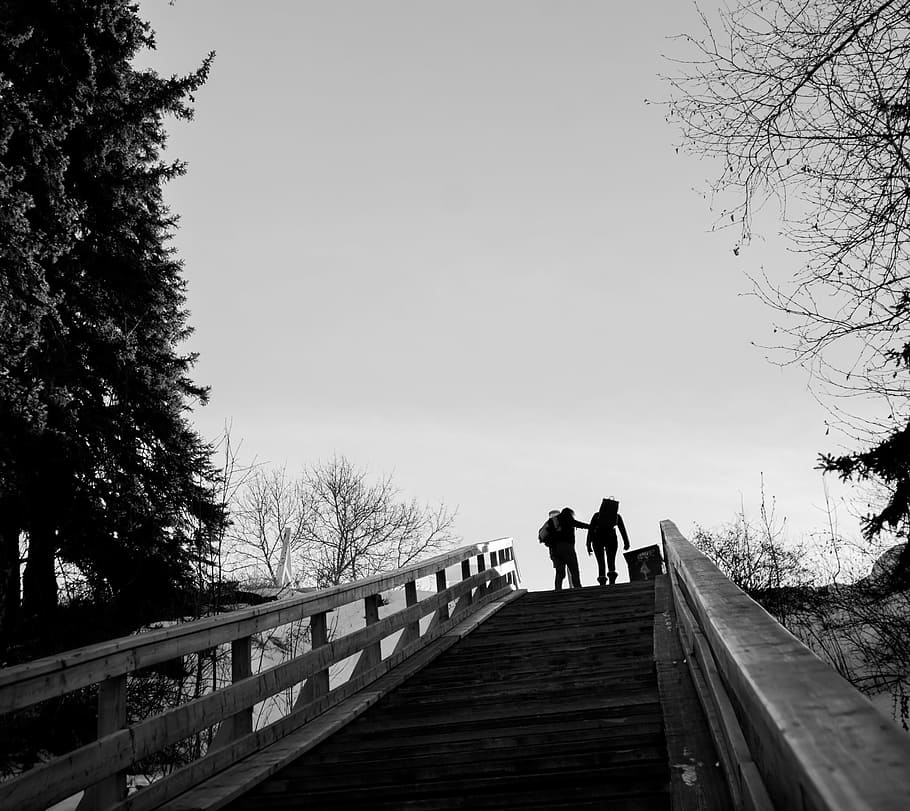 steps, stairs, people, tree, sky, real people, plant, men, two people HD wallpaper