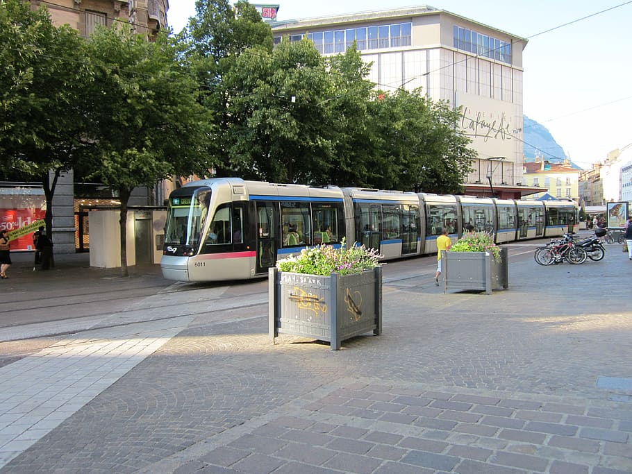 trolley, square, view, street, city, transportation, plant HD wallpaper