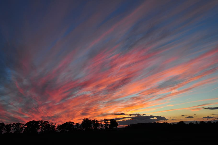 Sunset, Orange, Nature, Evening, silhouette, dramatic sky, scenics HD wallpaper