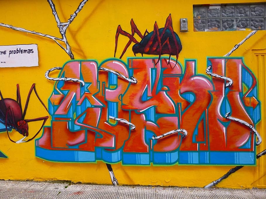Graffiti, Barañain, Navarre, Spider, Art, street art, mural HD wallpaper