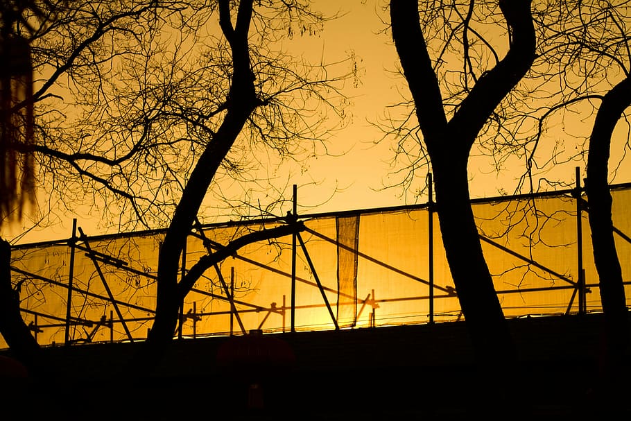 beijing, sunset, light and shadow, silhouette, tree, bare tree HD wallpaper