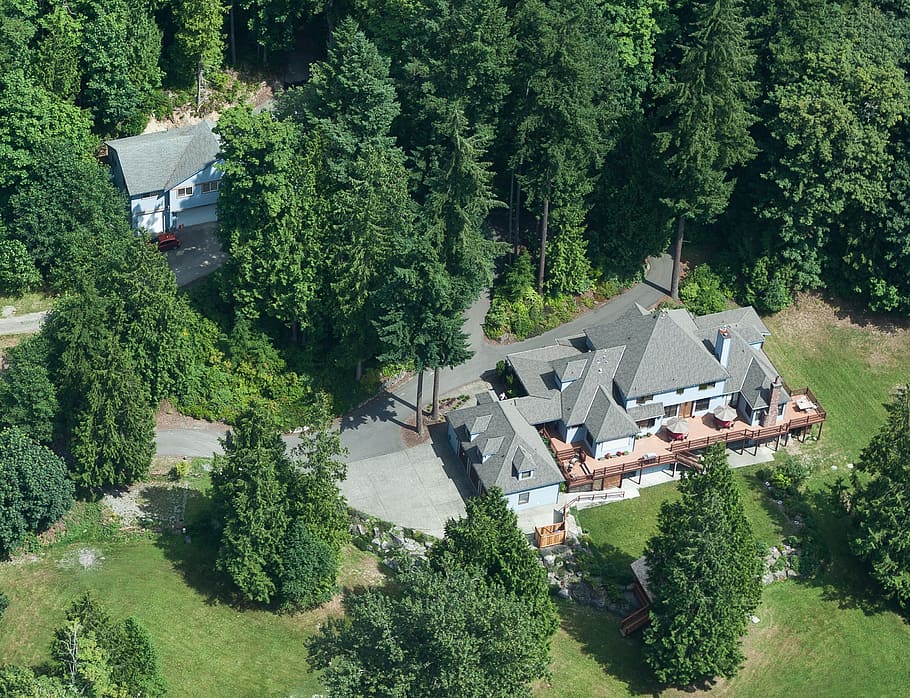 washington, meadow, forest, getaway, home, estate, architecture HD wallpaper