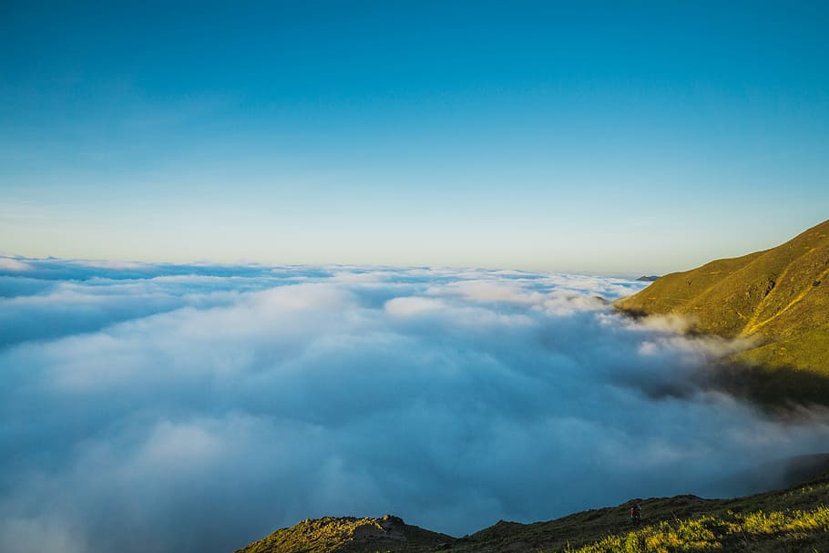above cloud photo of green mountain, aerial photography of foggy mountain HD wallpaper