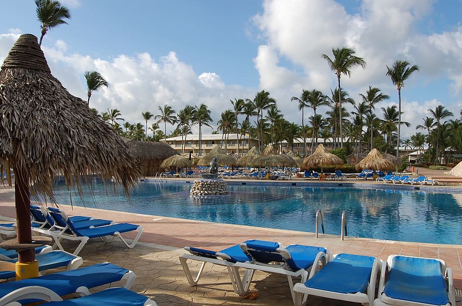 punta cana, caribbean, palms, hotel, nature, beach, pool, dominican republic