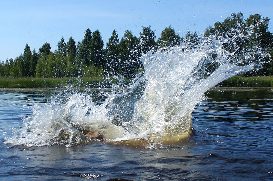 water, lake, nature, spatter, motion, tree, splashing, plant HD wallpaper