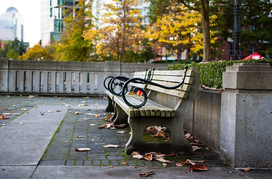 park, plaza, bench, leaf, fall, autumn, plant part, architecture HD wallpaper