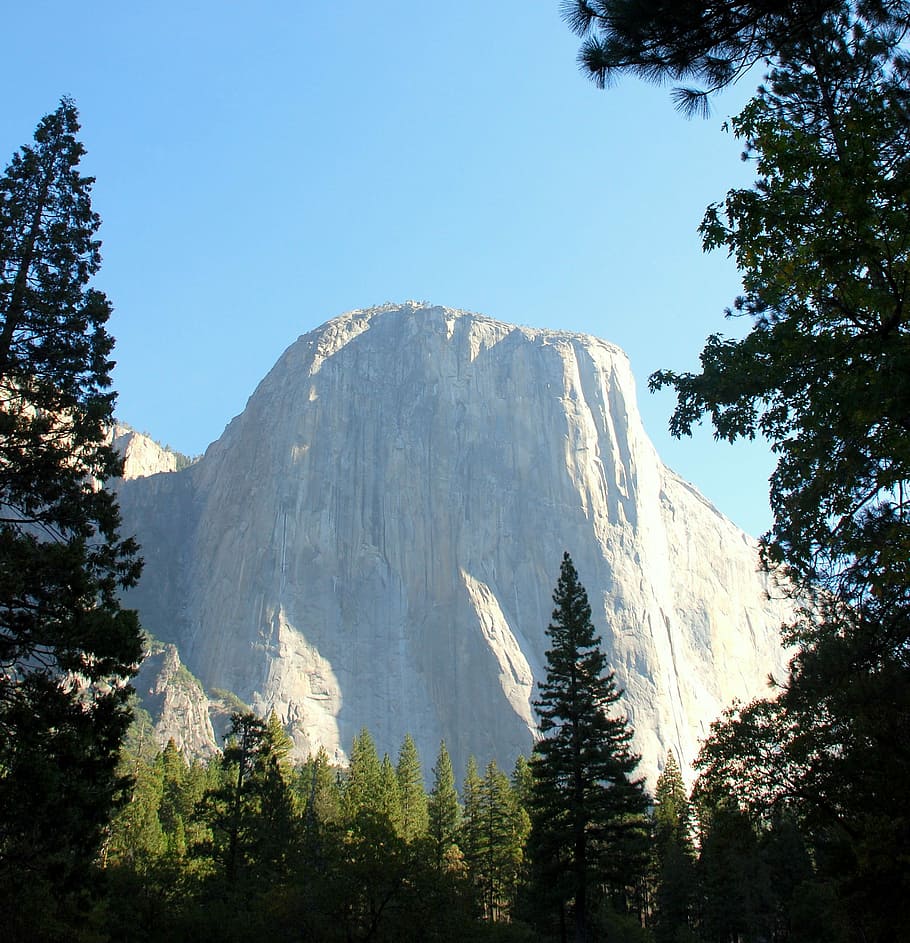 Half Dome, Rock Formation, Half, Dome, scenic, tree, pine tree HD wallpaper