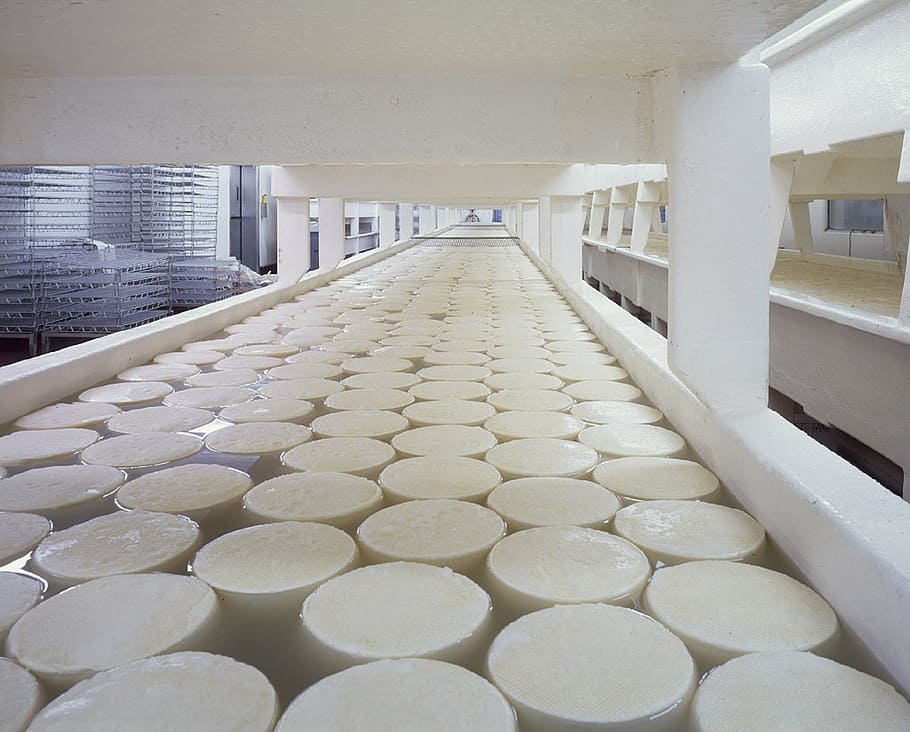 close view of round pad soak in water, cheese, dairy products HD wallpaper