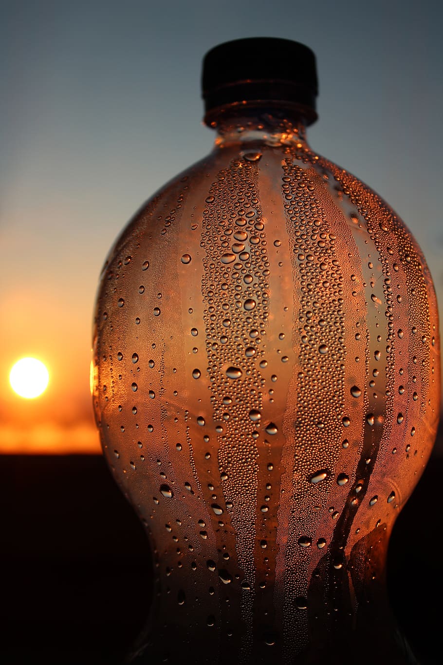 bottle, transparency, sunset, empty, environmental protection HD wallpaper