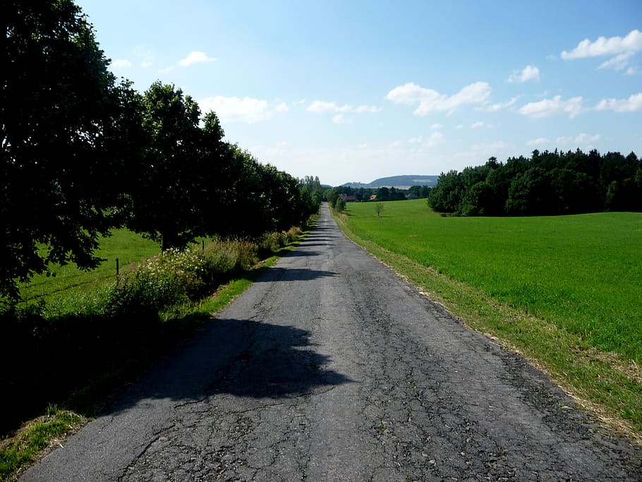 landscape, cet, road, green, forests, nature, sky, plant, tree HD wallpaper