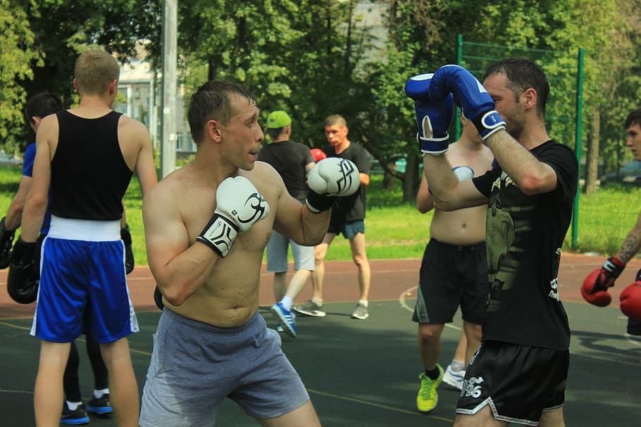 jump, tag, training, mma, karate, sports, wrestling, it seems HD wallpaper