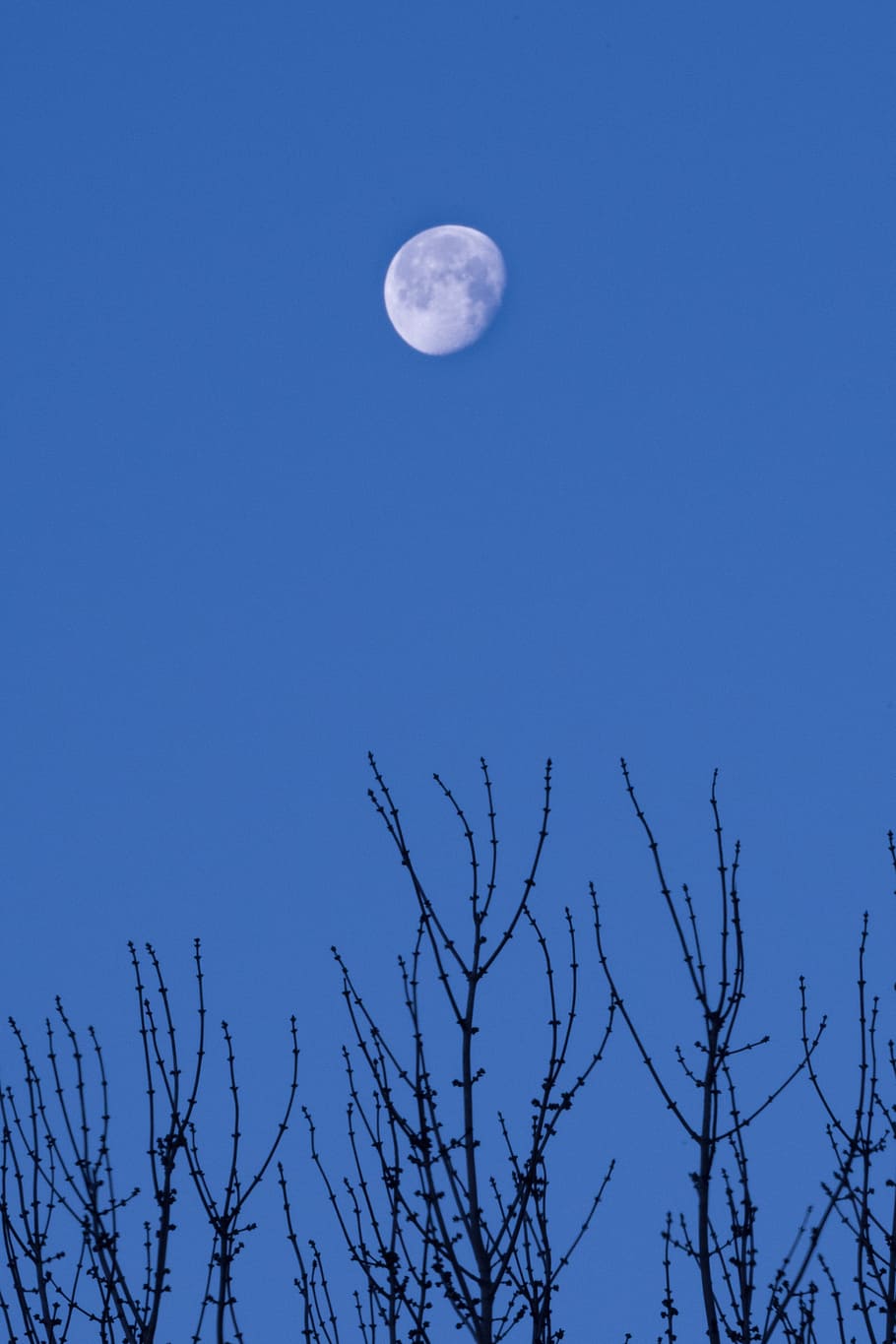 sky, nature, moon, desktop, outdoors, astronomy, space, full moon HD wallpaper