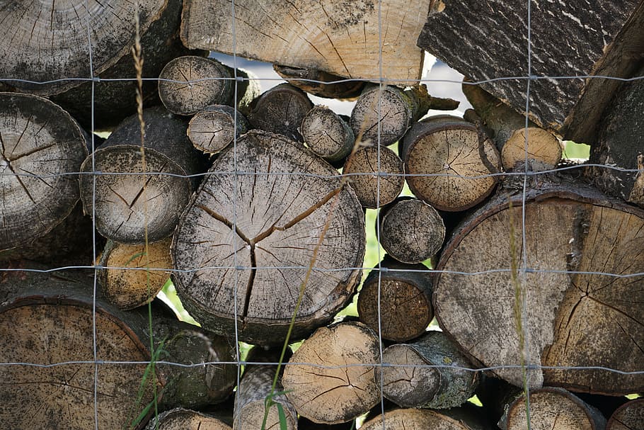 tree, wood, log, timber, wood - material, deforestation, firewood HD wallpaper