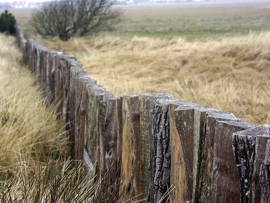 fence, egehegn, dunes, lyme grass, divide, boundary, barrier HD wallpaper