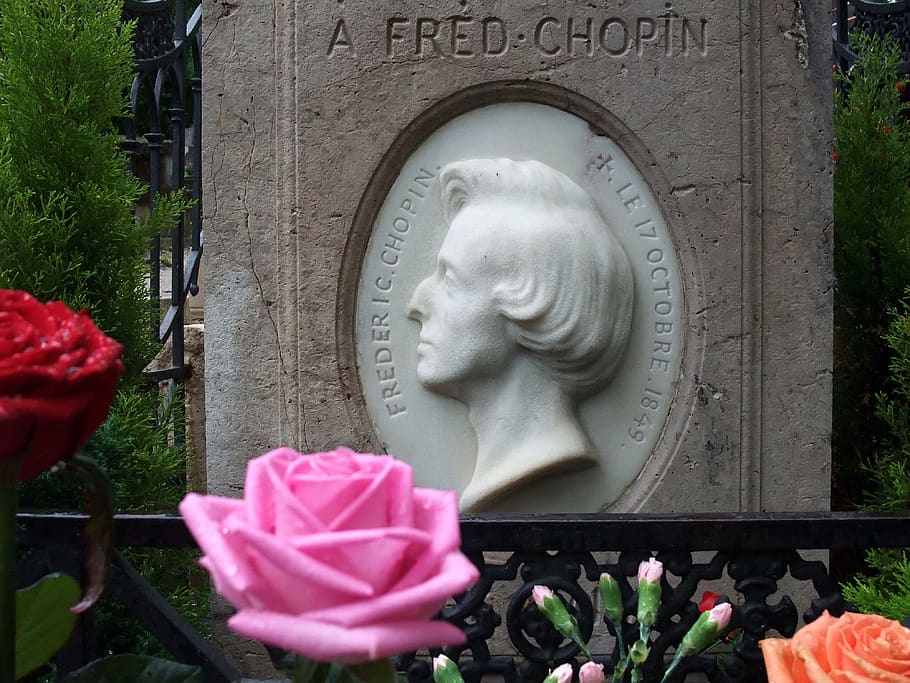 tombstone, frederic chopin, musician, paris, cemetery, plant