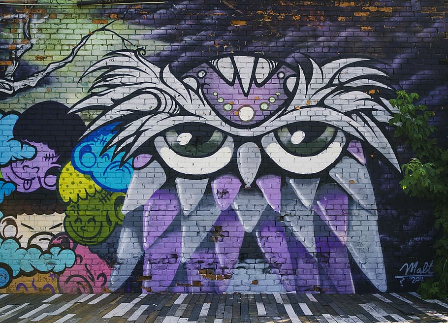 owl wall mural, purple owl graffiti photograph, wallpaper, cute wallpapers