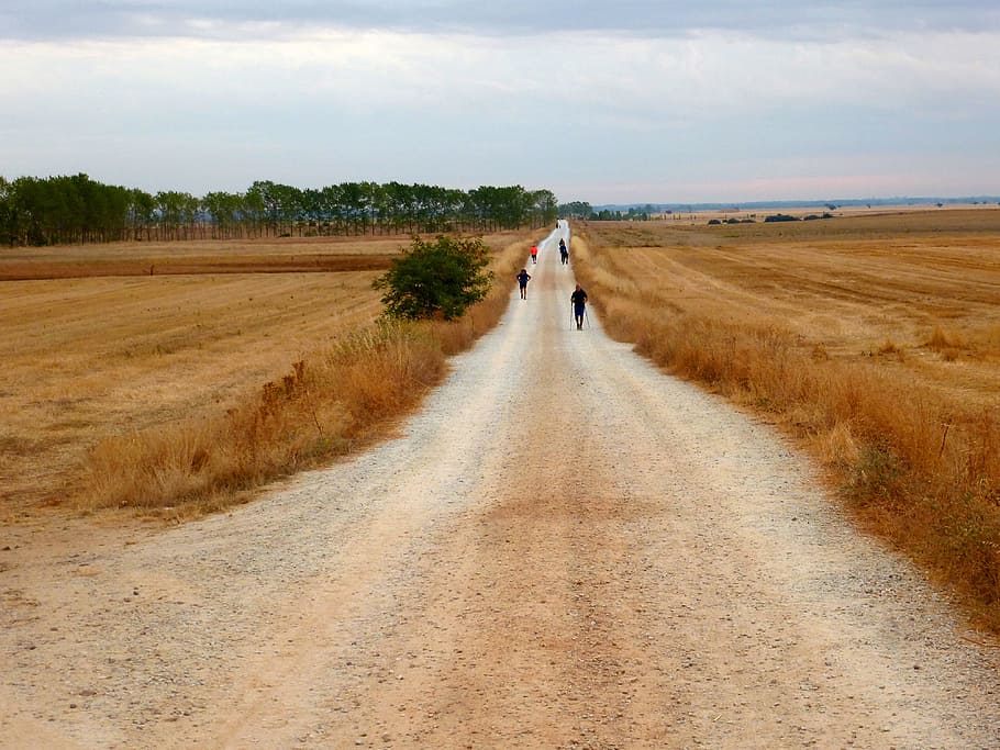 people walking in pathway between brown grass field, Way Of St James