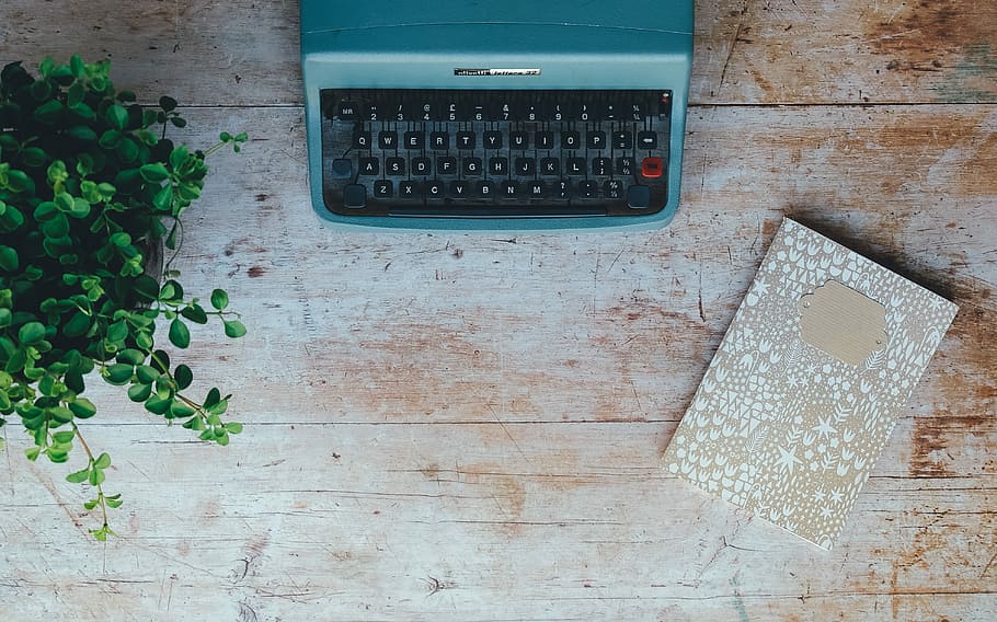 plant near organizer and tablet keyboard ase, top view photo of black and green typewriter near green leaf plant HD wallpaper