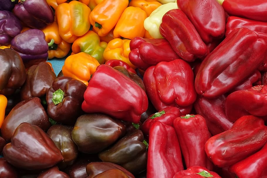 peppers, fresh, vegetables, red, green, orange, purple, white HD wallpaper