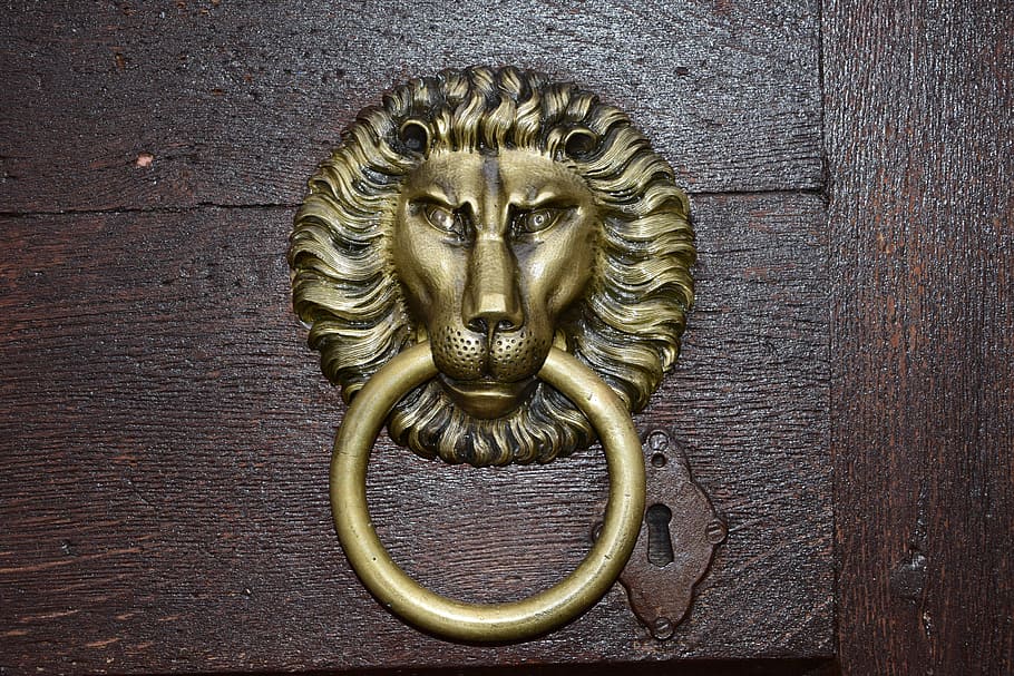 door, the lion, knocker, old, golden, iron lion, handle, door knocker, HD wallpaper