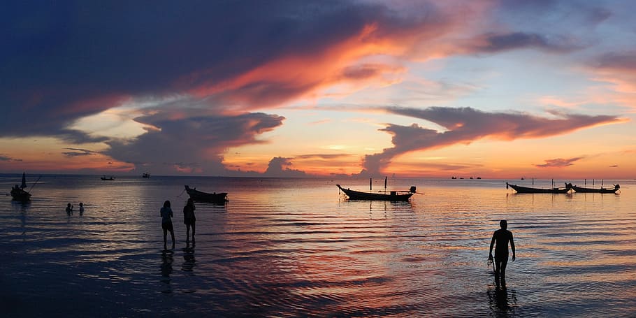 people walking on seashore during golden hour, sunset, evening HD wallpaper