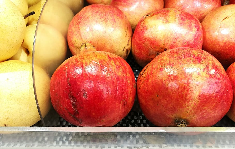apple, fruit, fresh, healthy eating, food and drink, freshness HD wallpaper