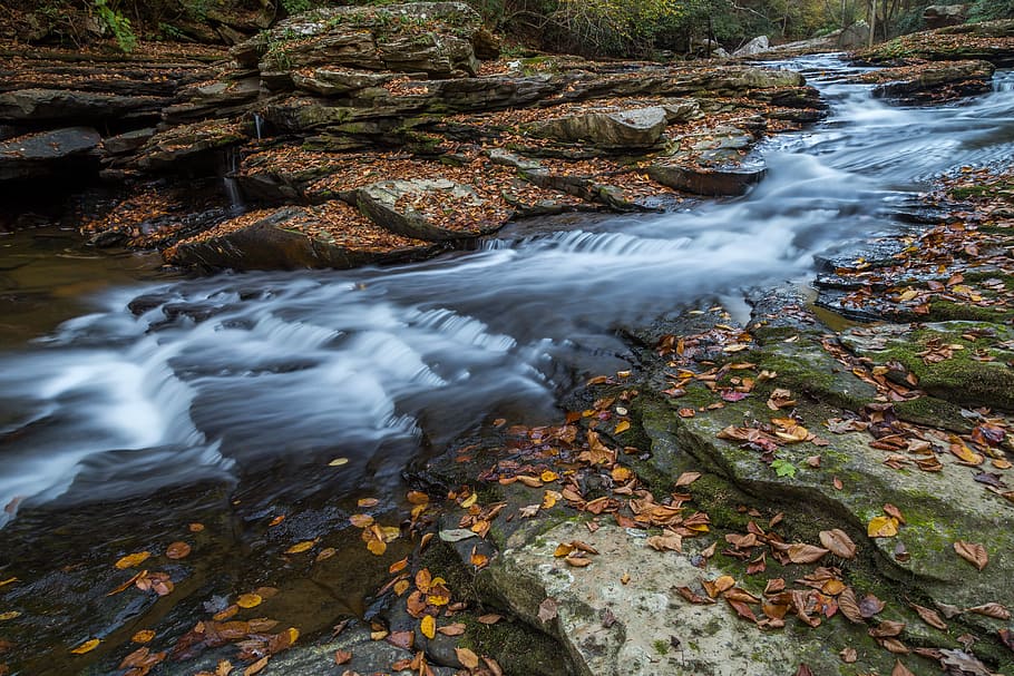 forest stream, river timelapse photography, waterfall, rock, moss HD wallpaper