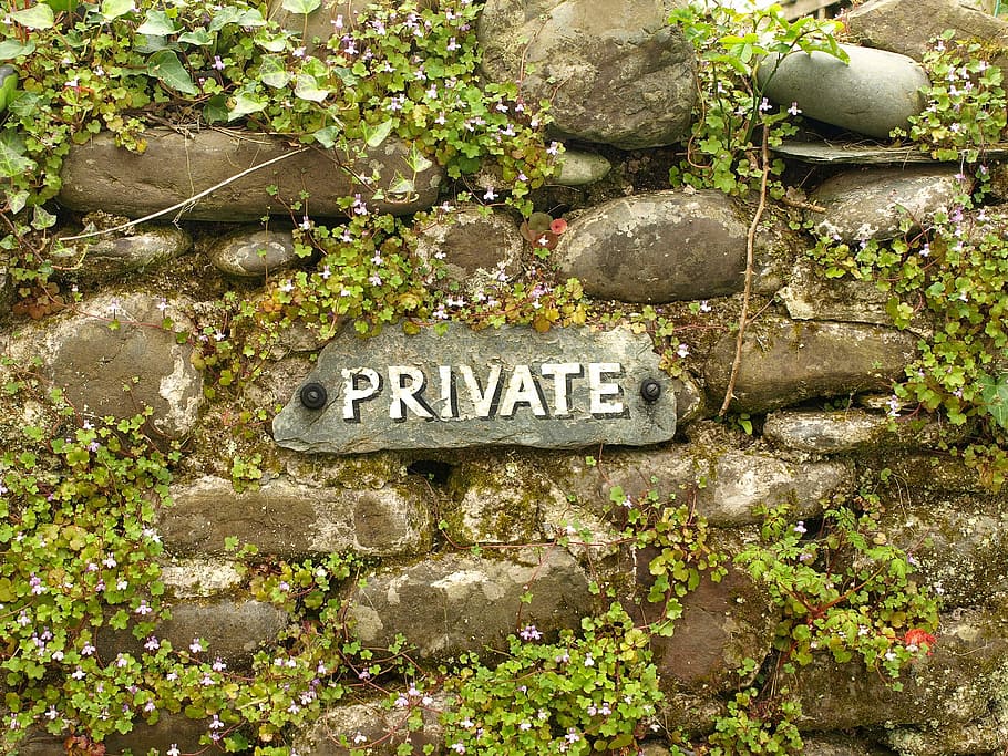 Private, Wall, Overgrown, Shield, Note, sign, weathered, old HD wallpaper