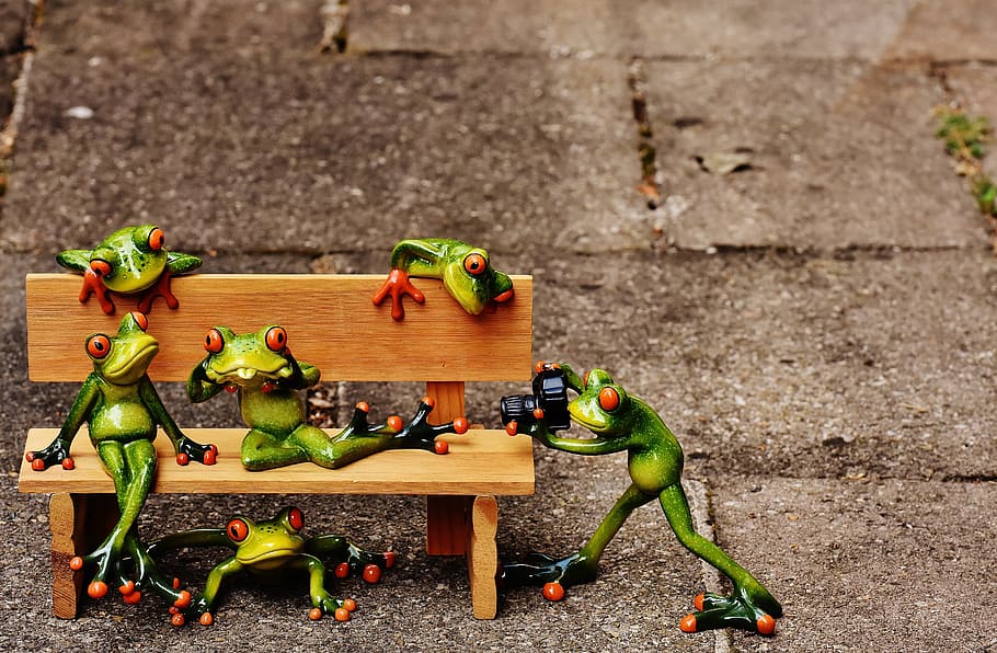 frogs, sociable, bank, bench, relaxed, figure, funny, rest HD wallpaper