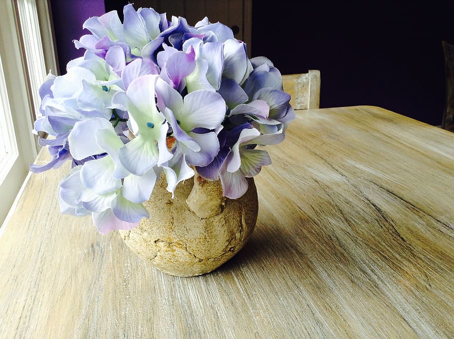 hydrangea, purple, flowers, rustic, wood, table, flowering plant HD wallpaper